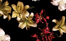 JORGE OSWALDO AGUIRRE JR.