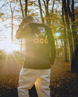 JORGE OSWALDO AGUIRRE JR.